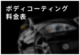 ボディコーディング料金表